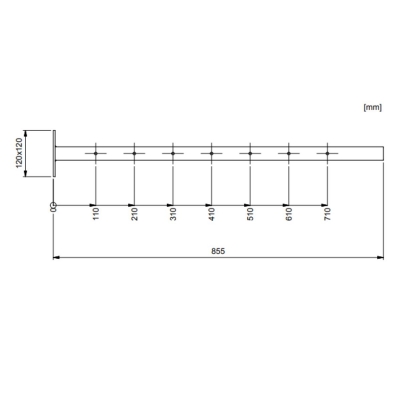 Combisafe Teleskoparm 1750